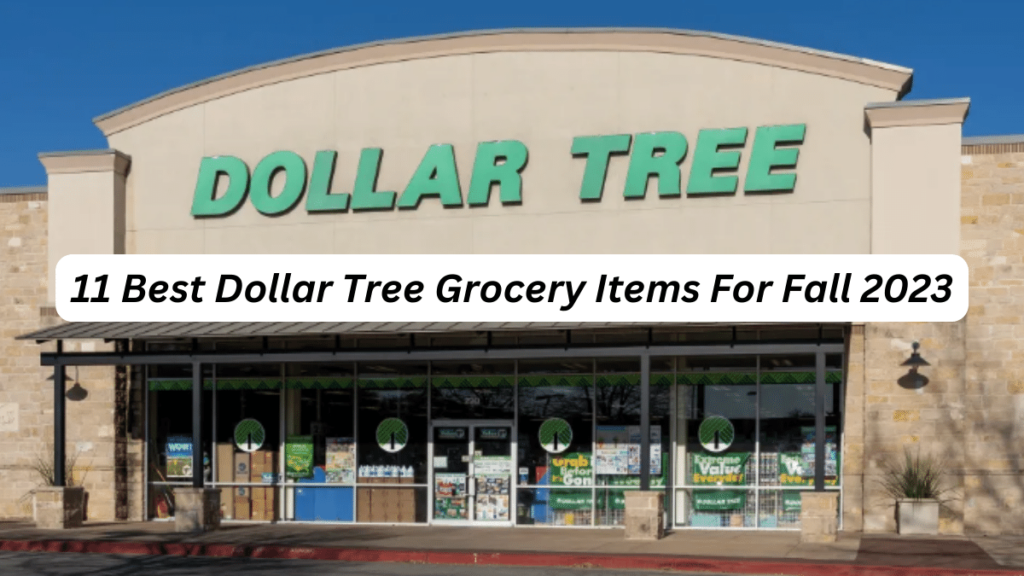 Best Dollar Tree Items