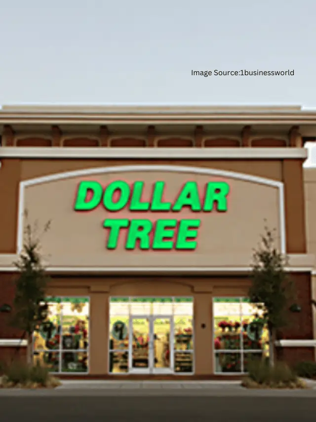 7  Single Best Thing To Buy at Dollar Tree This November