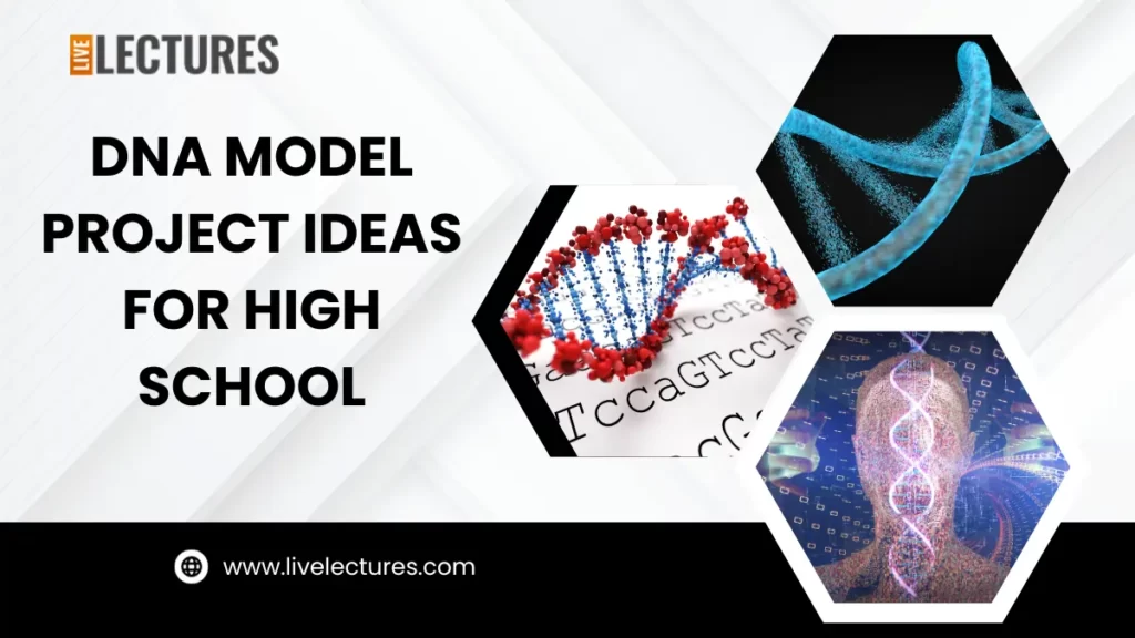 DNA-Model-Project-Ideas-For-High-School